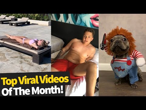 50 Best Viral Videos Of The Month – September 2019 (Top Virals)