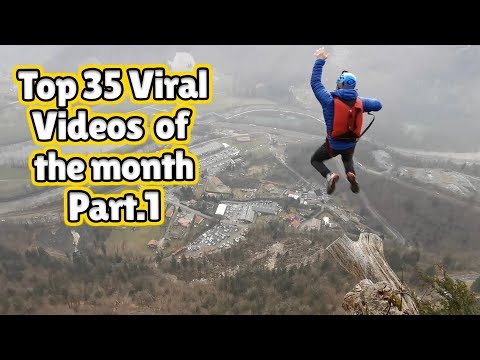 The Best Viral Videos Of The Month – May 2020 (Part 1)