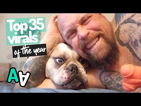 Top 35 Viral Animal Videos of the Year 2018