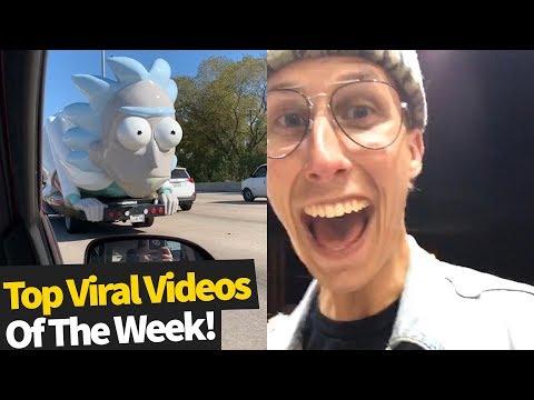 Top 40 Best Viral Videos Of The Month – November 2019 (Try not to laugh)