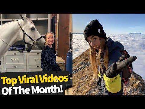Top 50 Best Viral Videos Of The Month – March 2020