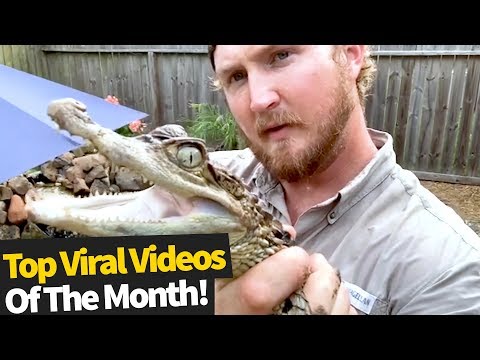 Top 50 Viral Videos Of The Month – April 2020