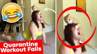 Quarantine Workout Epic Fails π 2020