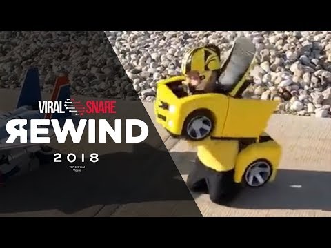 TOP 100 VIRAL VIDEOS OF THE YEAR 2018